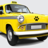 pet-taxi-per-cani-fabriano