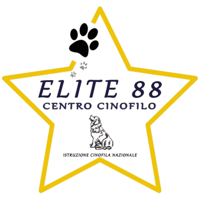 Logo-elite-88-evoluzione